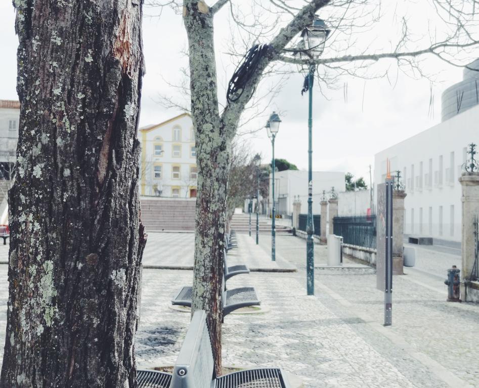 Mansao Alto Alentejo Hotel Portalegre Exterior photo